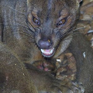 0042_105_0507 copia.jpg