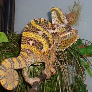 vacaciones mojacar 002 - copia.jpg