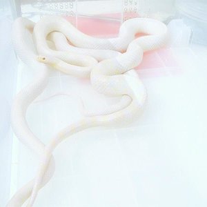 DSCF3419 (Medium).JPG