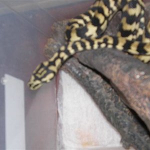 P3151434 (Small).JPG