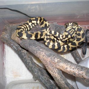 P3151431 (Small).JPG