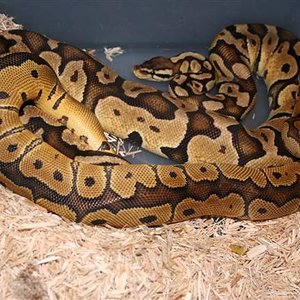 IMG_0572 (Small).JPG