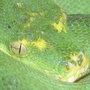 PICT5753 modified.jpg