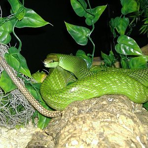 DSCF3236 (Medium) (2).jpg