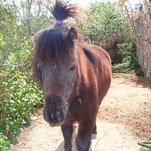 modelo............... 001.jpg