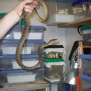 100_1929 [Resolucion de Escritorio].JPG