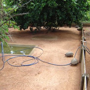 DSC03280 (Medium).JPG