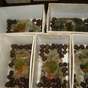 DSC03181 (Medium).JPG