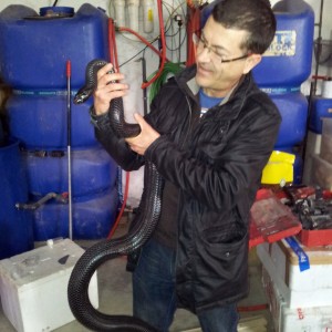 2013 02 16 12 50 27 1