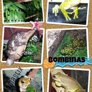 PicsArt 1362413915323