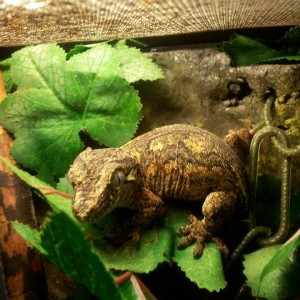 486091 4911984954812 528147817 n