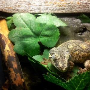 205300 4911987794883 670095279 n