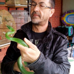 2013 04 20 10 50 24 1