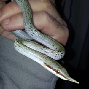 2013 04 20 12 20 42 1