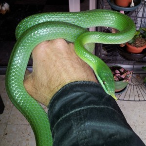 2013 04 20 10 49 51 1