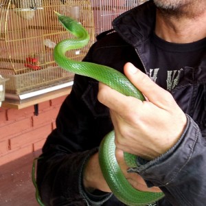 2013 04 20 10 50 24 1 2