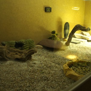terrario interior