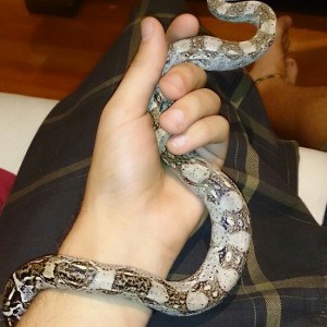 BC paraguanera, Ayudaa!!