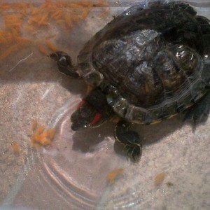 558650 4407430394978 885757630 n