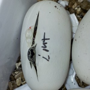 2013 07 06 20 46 00 1