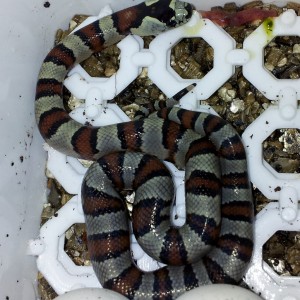 2013 07 08 00 03 37 1