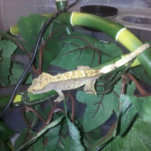 382278 10200353934388324 1644546266 n