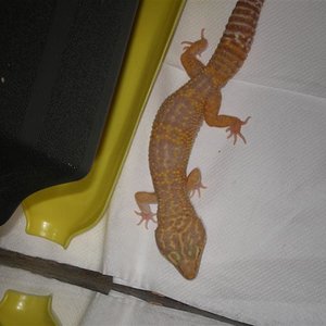 HAMM 08 175 (Medium).jpg