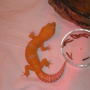 HAMM 08 176 (Medium).jpg