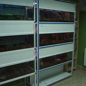 hab.tarantulas 002.jpg