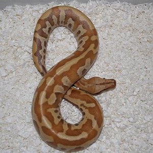 IMG_0652 (Small).JPG