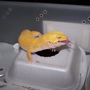 Sunglow loves Pinkie.JPG