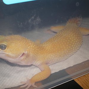 eubles hamm abril 08 018 (Large).jpg