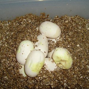 S7001203 (Medium).JPG