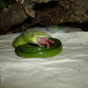 DSCF3607 copia (Medium).jpg