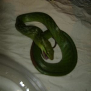 DSCF3608 (Medium).JPG