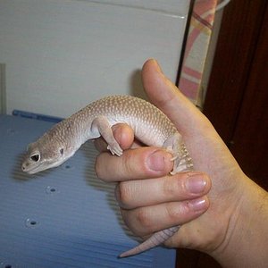 100_1914 (Small).JPG