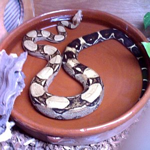 16-12-07_1230 bis.jpg