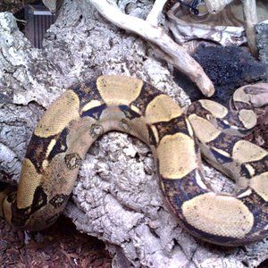 26-03-08_2219 bis.jpg