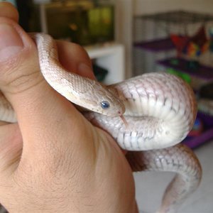 DSCF3618 (Medium).JPG