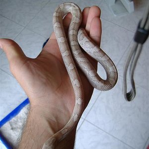 DSCF3620 (Medium).JPG