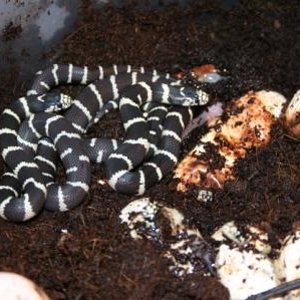 FOTOS DIELEMANS 006.jpg