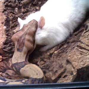 29-12-07_2031 bis.jpg