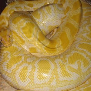 IMG_5579 (Small).JPG