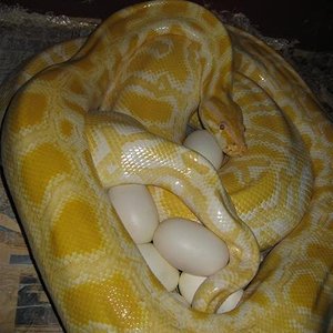 IMG_5582 (Small).JPG