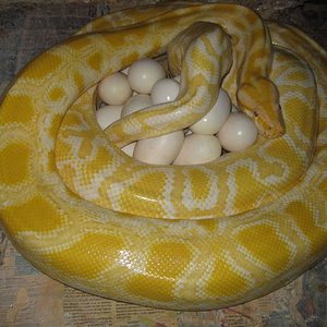 IMG_5586 (Small).JPG