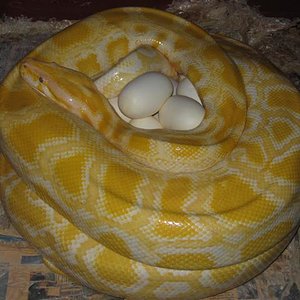 IMG_5588 (Small).JPG