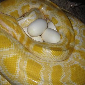 IMG_5598 (Small).JPG