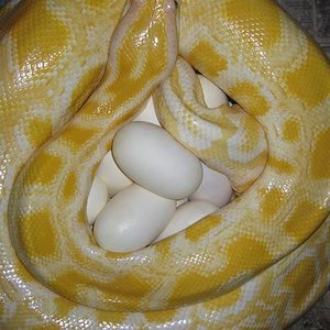 IMG_5599 (Small).JPG