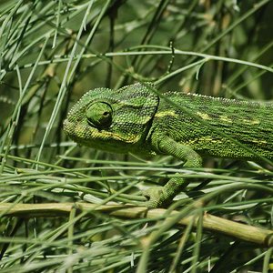 camara nueva 285 [800x600].jpg