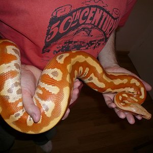 P1010748 [Resolucion de Escritorio].JPG